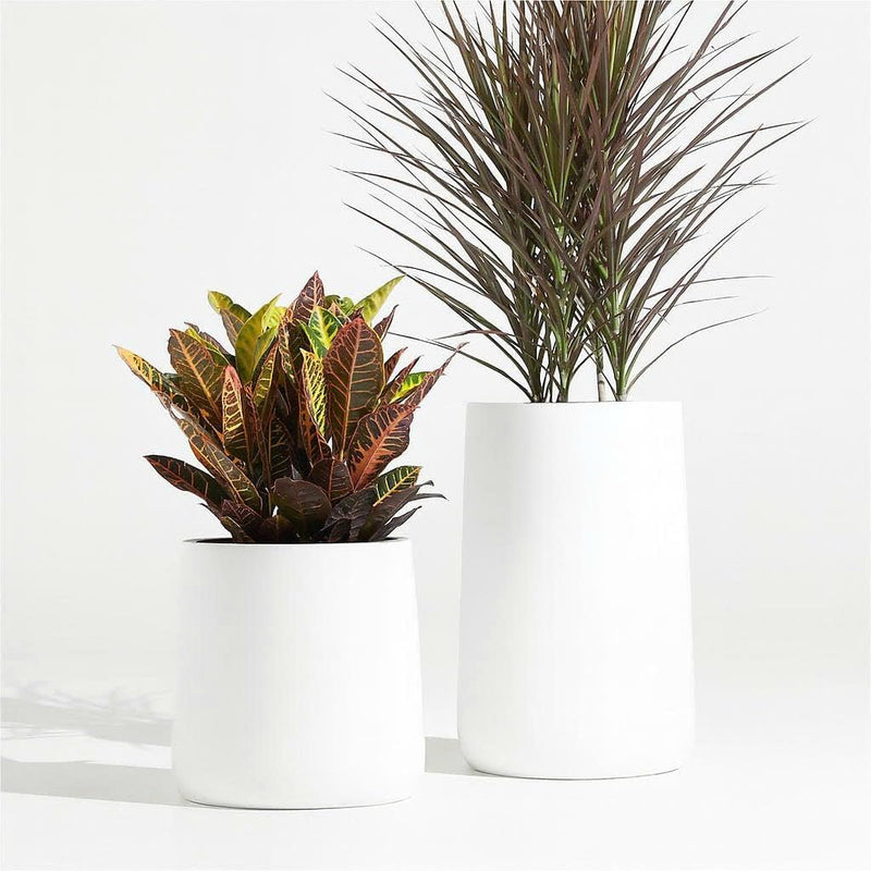 Tall Conico Planter hover
